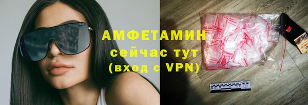 крисы Абаза